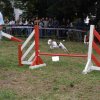 foire-haricots 2011-09-17et18